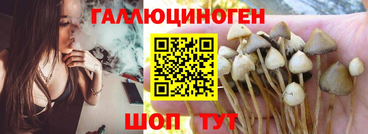 Псилоцибиновые грибы прущие грибы Волхов