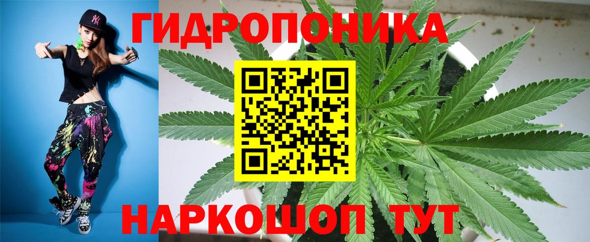 Шишки марихуана AK-47  Шишки марихуана марихуана  Вход с VPN  Волхов 